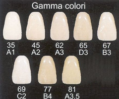 SPLINT LINE LANG POLV.120GR. COL.81