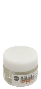 VINTAGE PRO PASTE C2O OPAQUE X 6 G