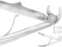H.F. PINZA ESTRAZIONE FX 2 C