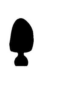 CORONE POLICARB. HS  N.15 x 5 PZ