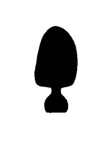 CORONE POLICARB. HS  N.17 x 5 PZ