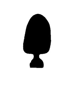 CORONE POLICARB. HS  N.19 x 5 PZ