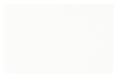 TRAY FILTER PAPER HS BIANCO 250 PZ