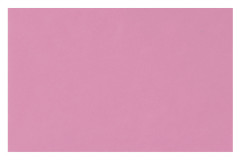 TRAY FILTER PAPER HS ROSA 250 PZ