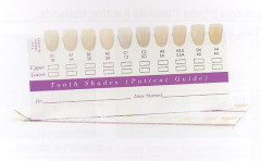 SCALA COLORI ULTRADENT 498      X50