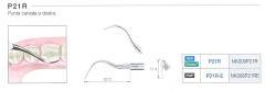 VARIOS NSK PUNTA P21R-E