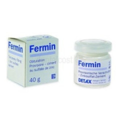 FERMIN PASTA VASETTO 40GR