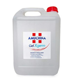 AMUCHINA GEL MANI 5LT