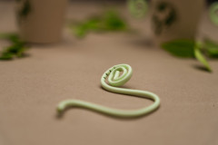 ASPIRASALIVA HYGOFORMIC BIO VERDE X100 - Dental Trey