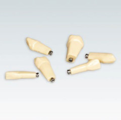 MODELLO FRASACO RIC.DENTI N.23 CON VITE KIT X10