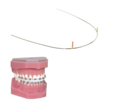 ARCHI POSTED 16X22 30MM 10PZ - Dental Trey