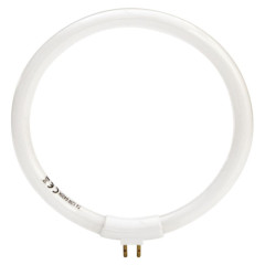 LAMPADINA CIRCOLARE 12W X LAMPADA BANCO