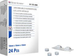 SPUGNE DI GELATINA HS BLISTER X24