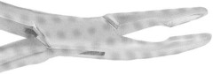 H.F. PINZA OSSIVORA R 1A       MEAD