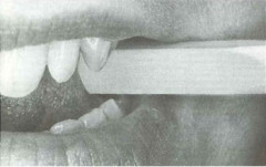 PRESSACORONE TEMREX X80